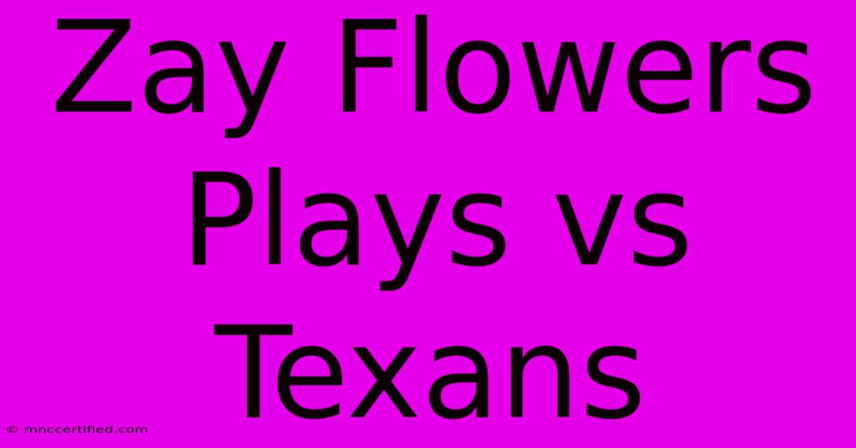 Zay Flowers Plays Vs Texans