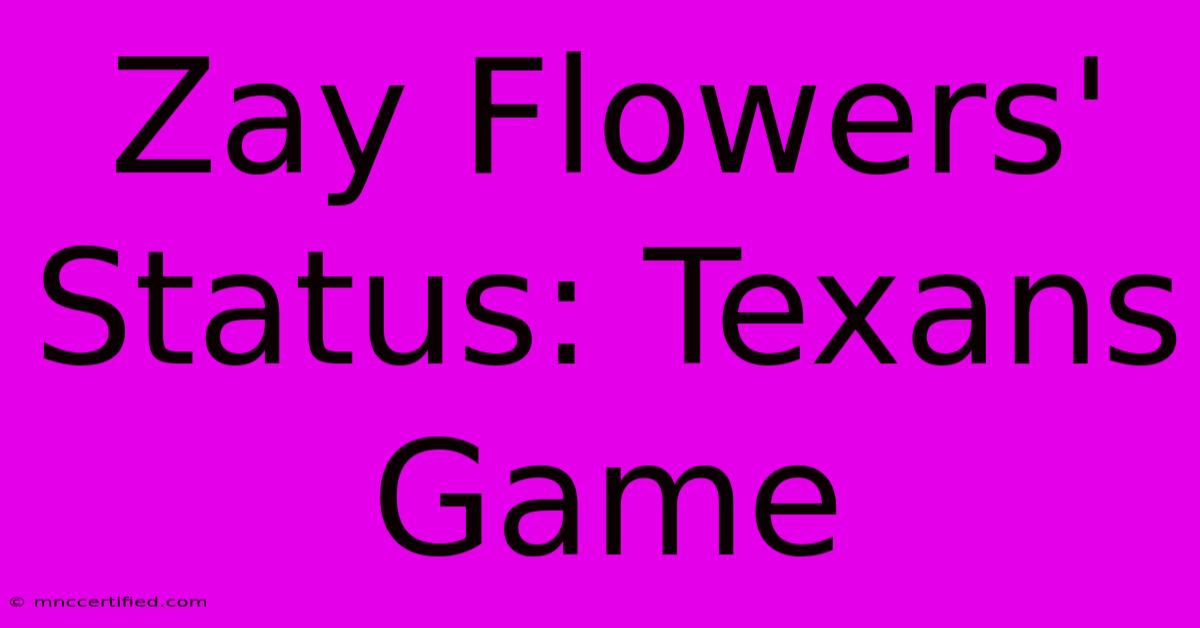 Zay Flowers' Status: Texans Game