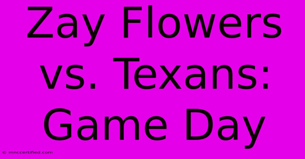 Zay Flowers Vs. Texans: Game Day