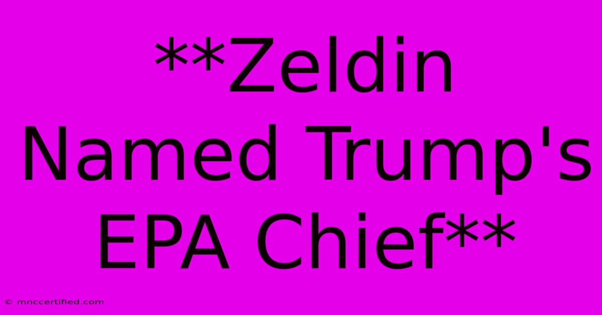 **Zeldin Named Trump's EPA Chief**