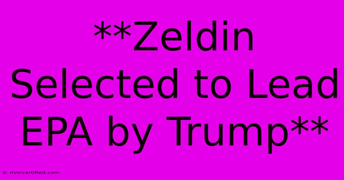 **Zeldin Selected To Lead EPA By Trump**