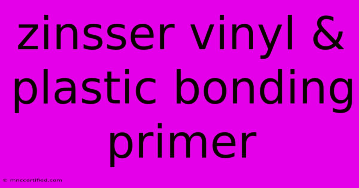 Zinsser Vinyl & Plastic Bonding Primer