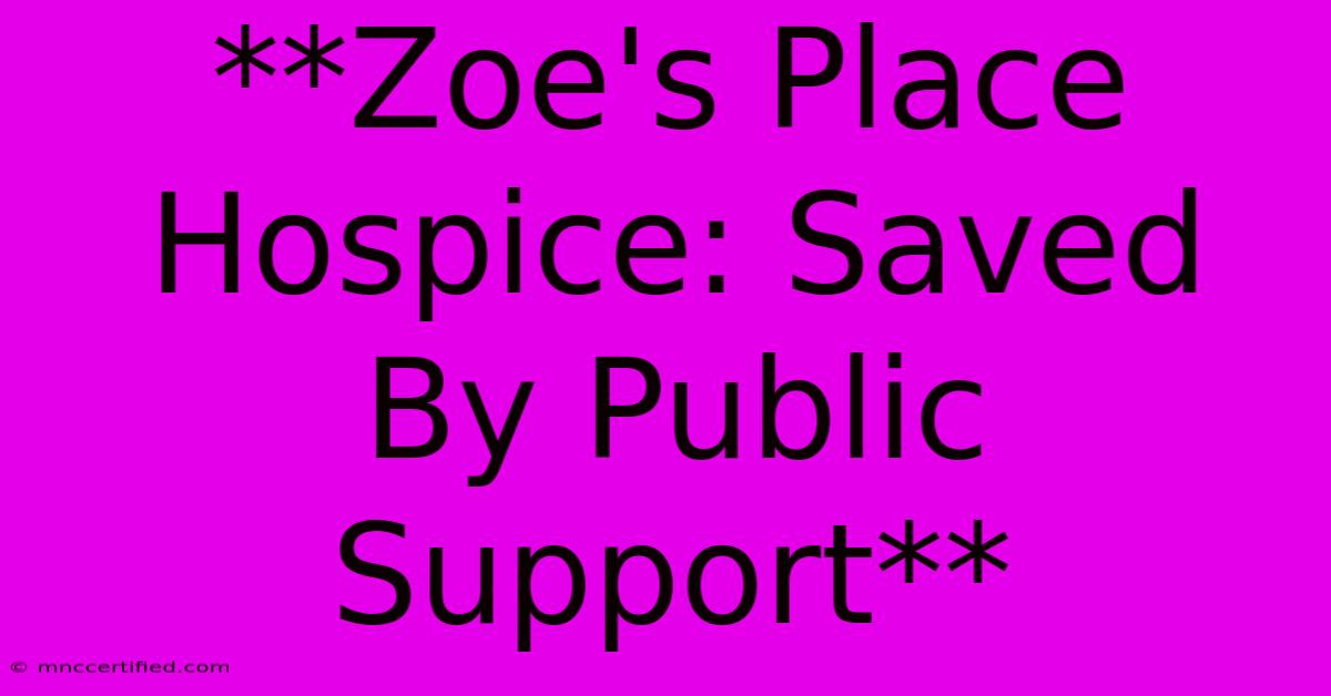 **Zoe's Place Hospice: Saved By Public Support** 