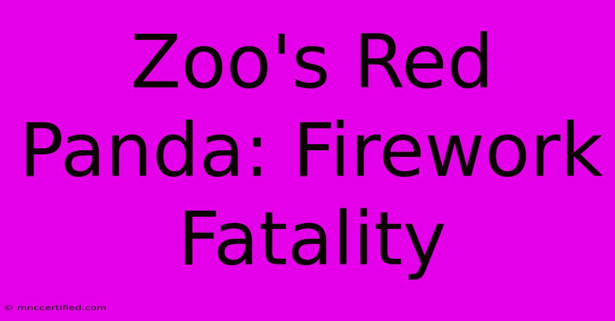 Zoo's Red Panda: Firework Fatality